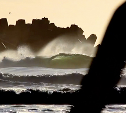 wedge bodyboarding