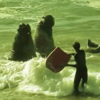 funny bodyboard photo