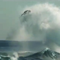 bodyboarding documentary