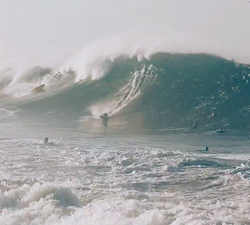 newport wedge Hurricane marie
