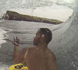 no oil in the canaries