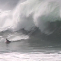 newport wedge summer