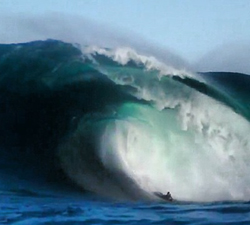 Damien Martin the right