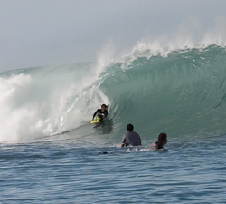 Mentawai bodyboard