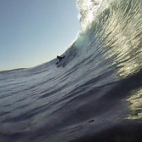 Andro van der Westhuizen