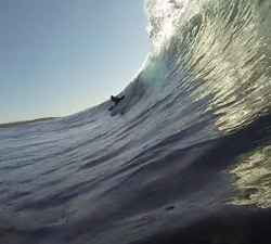 Andro van der Westhuizen