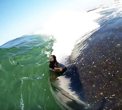 bodyboarding shorebreak
