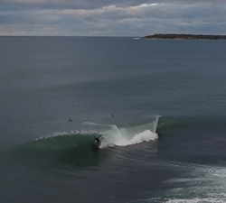 shark island drone