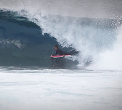 javier dominguez zerpa