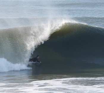 seal beach